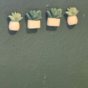 Super cute flower potted wall pins